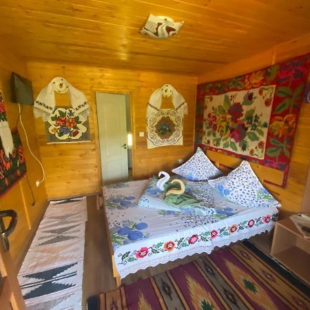 Floare De Maramures 2 Sighetu Marmaţiei 外观 照片