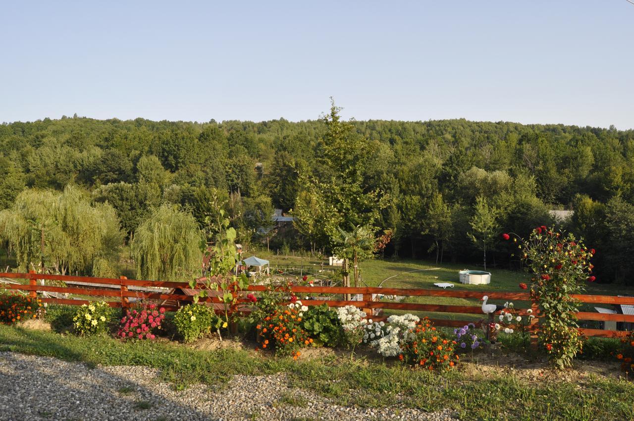 Floare De Maramures 2 Sighetu Marmaţiei 外观 照片