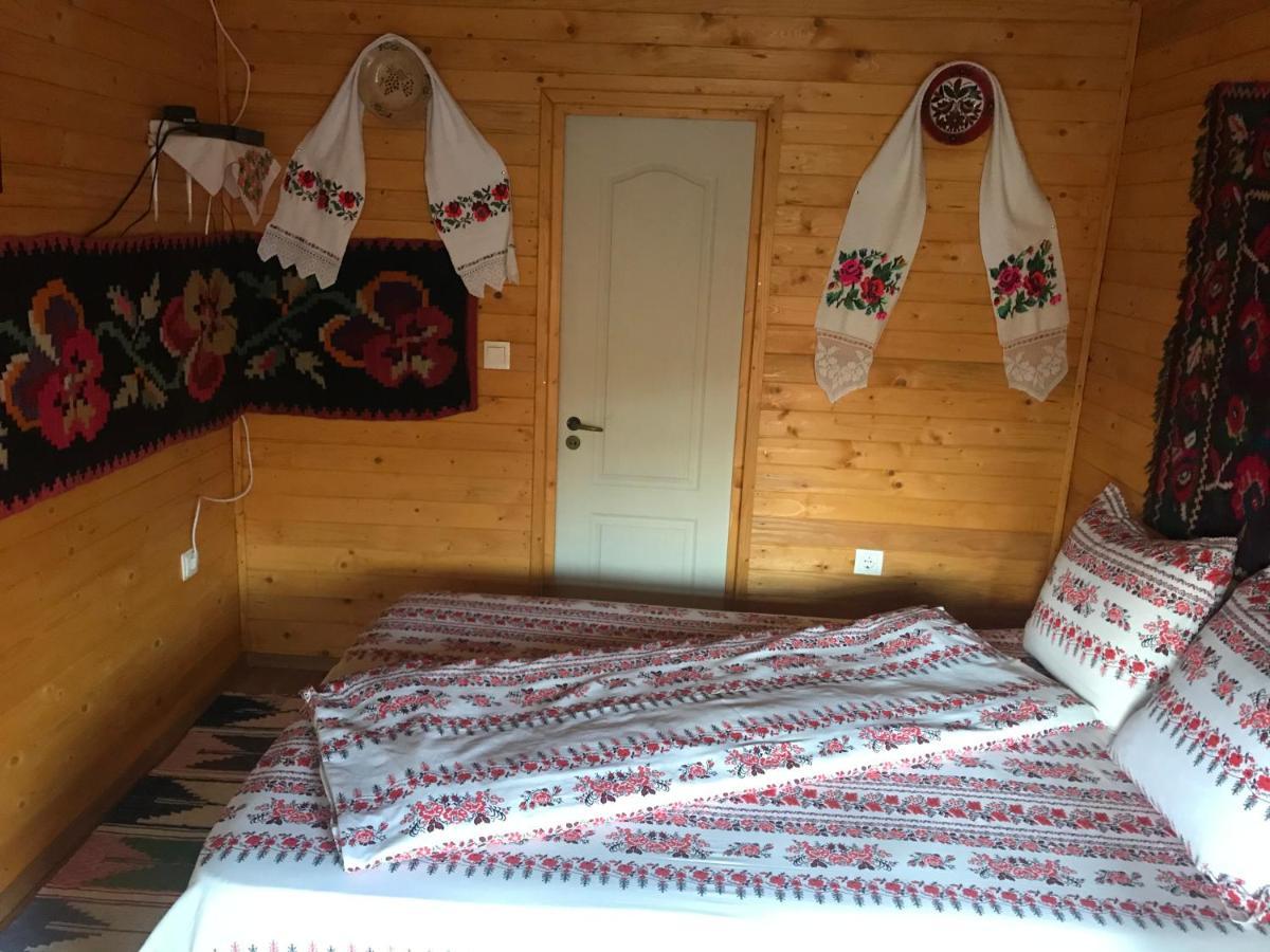 Floare De Maramures 2 Sighetu Marmaţiei 外观 照片